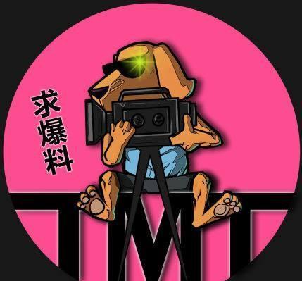 娱乐吃瓜找导演